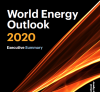 [IEA] 2020 세계 에너지 전망 (World Energy Outlook 2020)