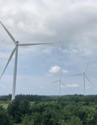 제주 가시리 풍력발전소 (1)