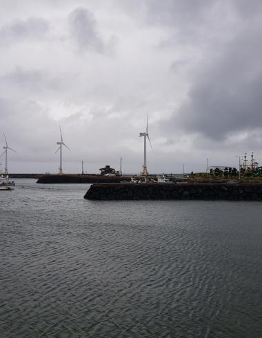 제주도의 해상 풍력 발전기