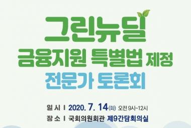 그린뉴딜 금융지원 특별법 제정 전문가 토론회 (1차)